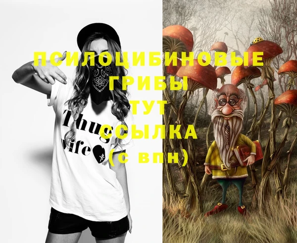 гидропоника Алексеевка