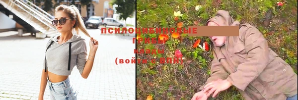 гидропоника Алексин