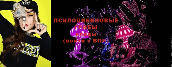 тгк Осташков